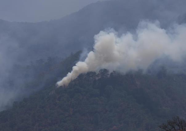 Incendio forestal del Cañón del Novillo se reactiva en Tamaulipas