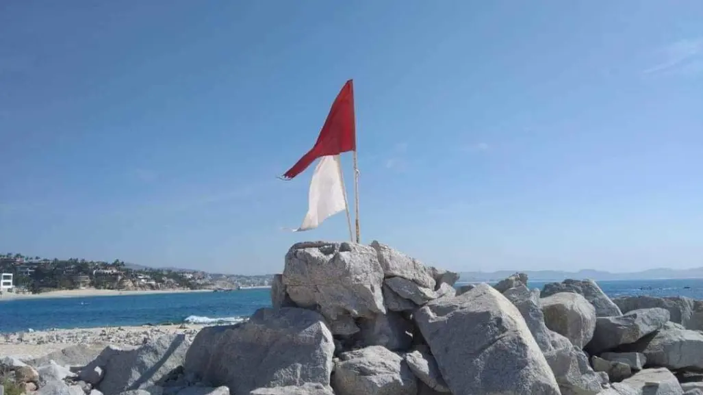 Alerta por presencia de aguamala en playas de Los Cabos