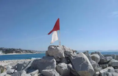 Alerta por presencia de aguamala en playas de Los Cabos