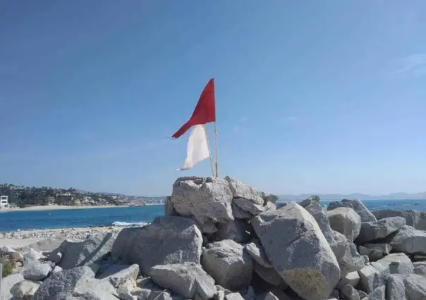 Alerta por presencia de aguamala en playas de Los Cabos