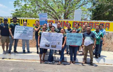 Maestros de más de 500 escuelas de Yucatán continúan con paro laboral