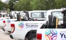 Acciones de prevención en Yucatán: fumigación contra el dengue