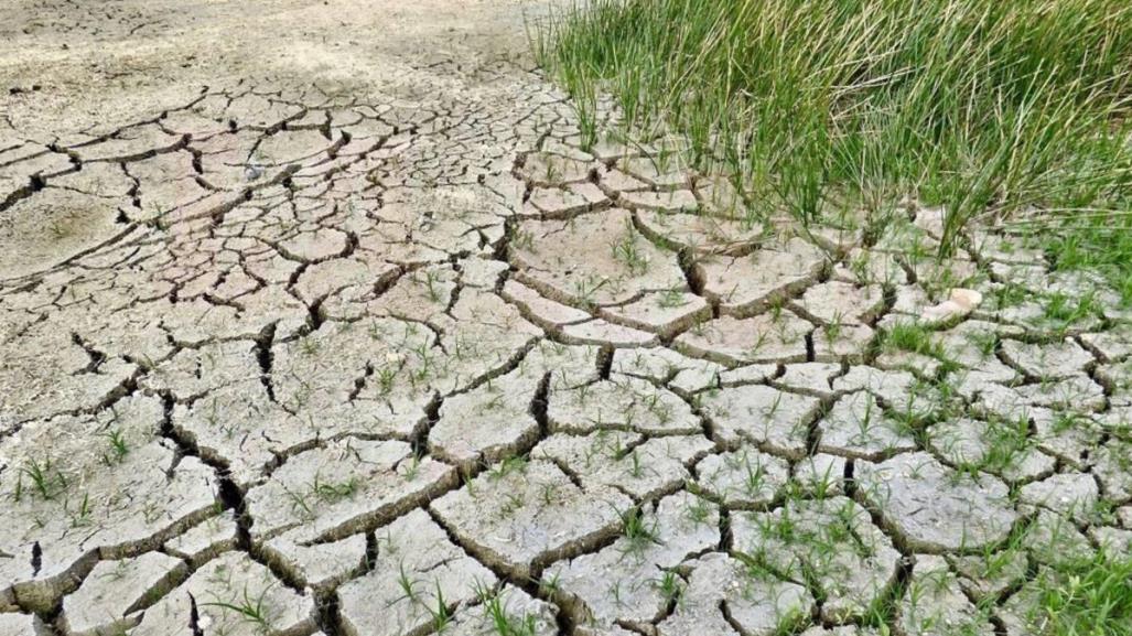 Complejo mapa de lluvias para el sur de Tamaulipas