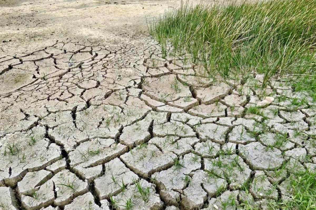 El sistema lagunario del sur de Tamaulipas se seca. Foto: Axel Hassel