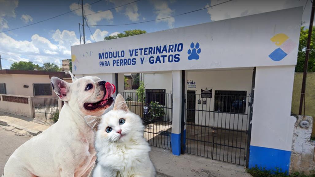 Mérida: Cierran Módulo Veterinario Chichén Itzá hasta nuevo aviso