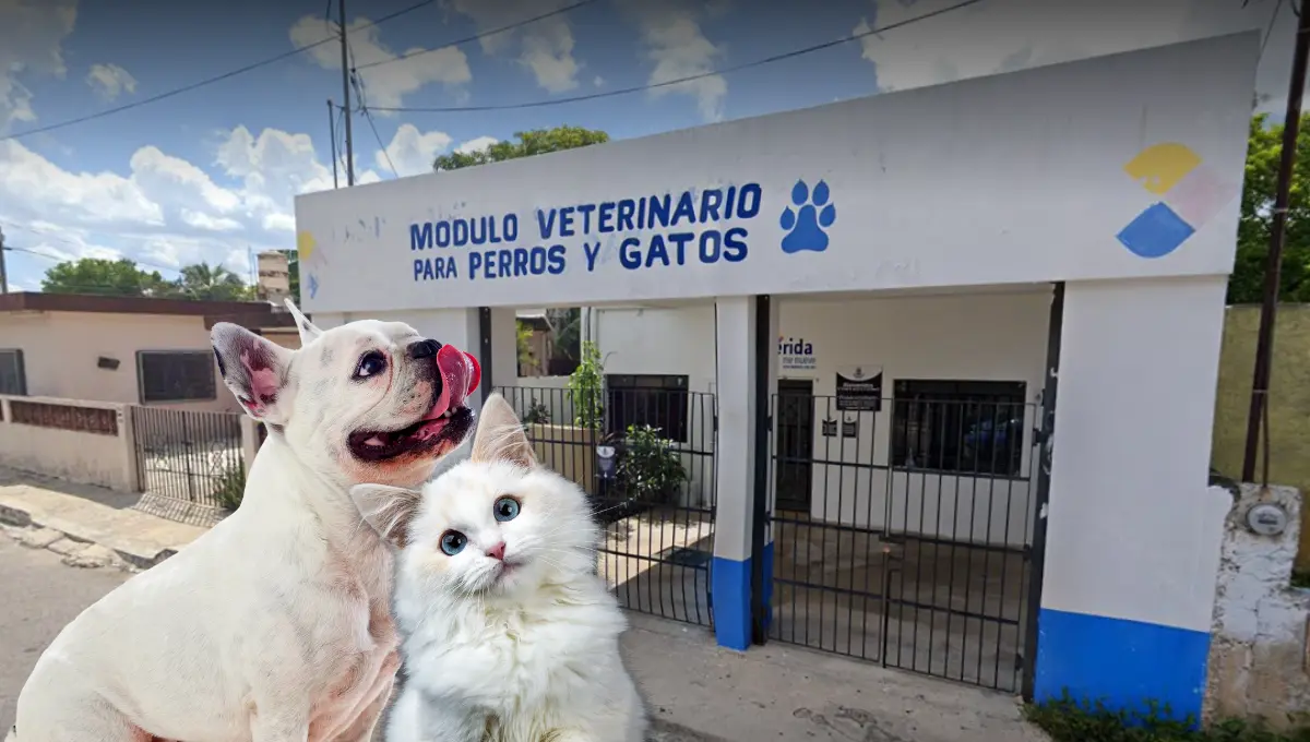 Los servicios en estos módulos son de bajo costo y algunos gratuitos Fotos: Especial