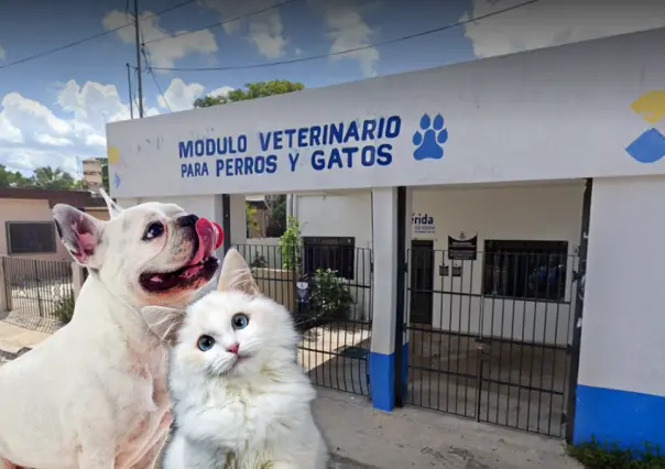 Mérida: Cierran Módulo Veterinario Chichén Itzá hasta nuevo aviso