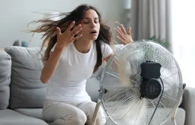 ¿Ventiladores y ola de calor? Profeco revela las mejores marcas