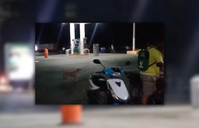 Grupos de choque se enfrentan en calles de Acanceh, Yucatán (VÍDEO)