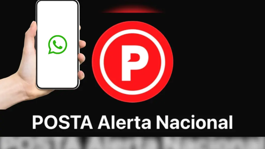 ¡Alza la voz! POSTA crea chat de WhatsApp para denunciar incidentes electorales