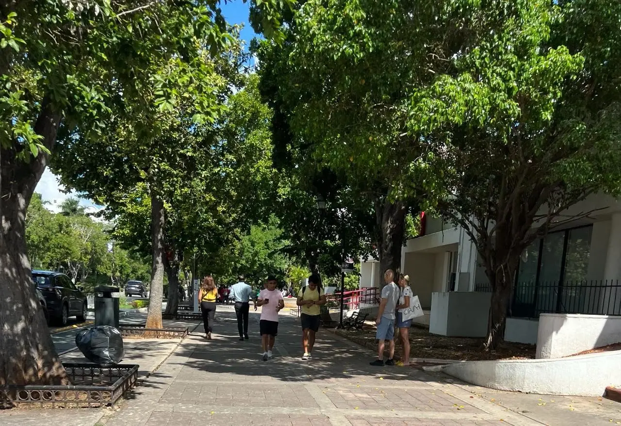 Se recomienda tomar precauciones a la hora de salir a votar Fotos: Irving Gil