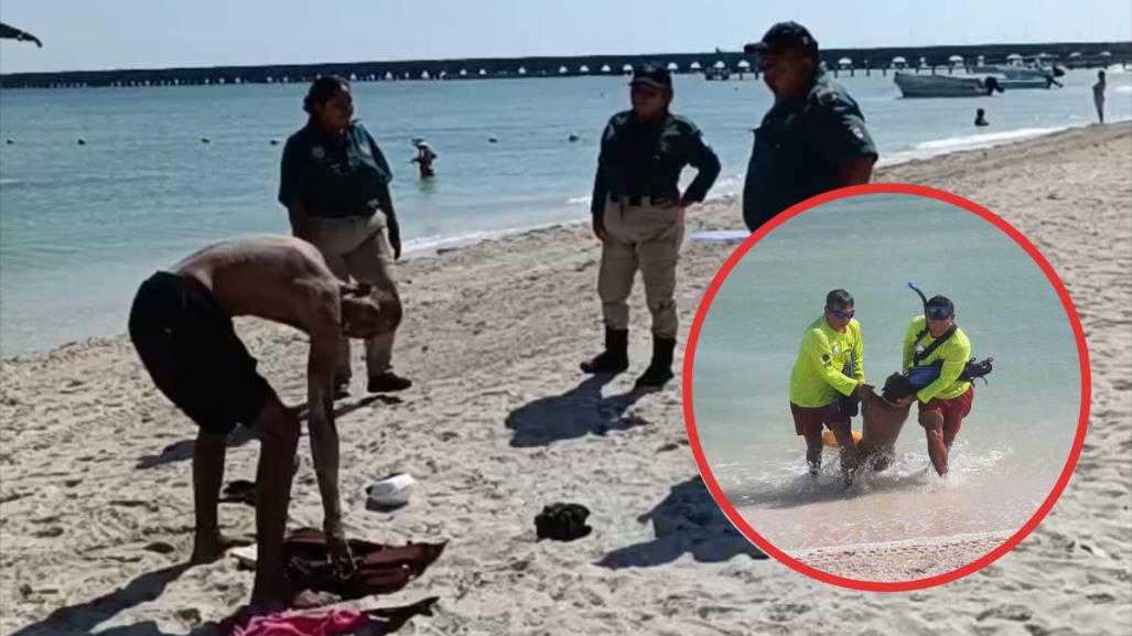 Turista se salva de morir ahogado en el puerto de Progreso