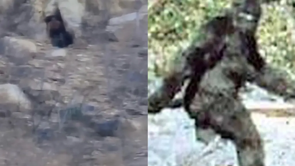 ¿Sasquatch en Los Cabos? turistas graban figura humanoide en una cueva (VIDEO)