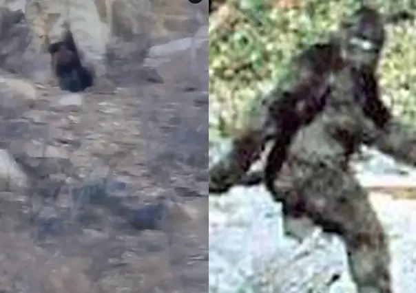 ¿Sasquatch en Los Cabos? turistas graban figura humanoide en una cueva (VIDEO)