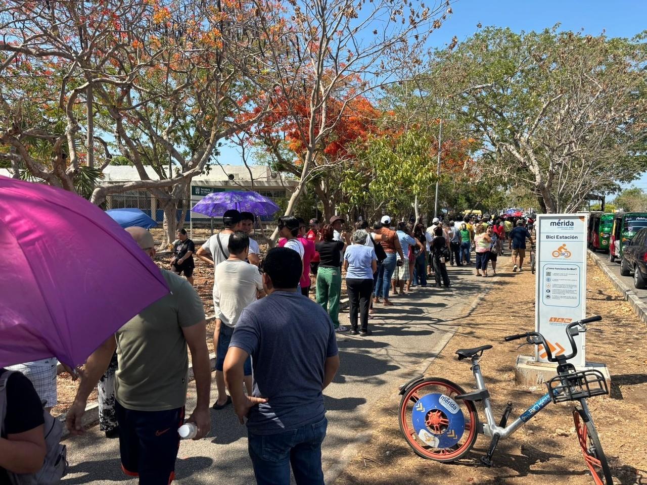 Desde temprano algunos centros de votación han presentado largas filas Foto: Ilustrativas