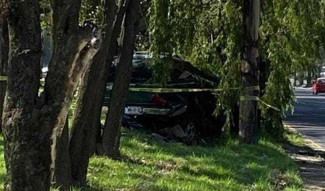 Accidente en la Toluca-Palmillas: Automovilista pierde la vida al chocar contra árboles. Foto: Especial