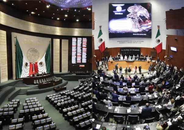 ¿Cómo queda el Senado y la Cámara de Diputados en estas elecciones?