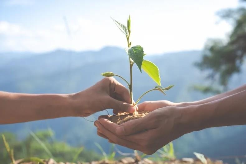 Día del Medio Ambiente: ¿Hemos logrado algo en más de 50 años?