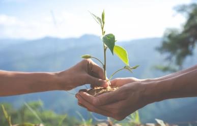 Día del Medio Ambiente: ¿Hemos logrado algo en más de 50 años?