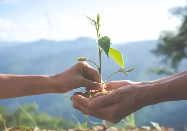 Día del Medio Ambiente: ¿Hemos logrado algo en más de 50 años?