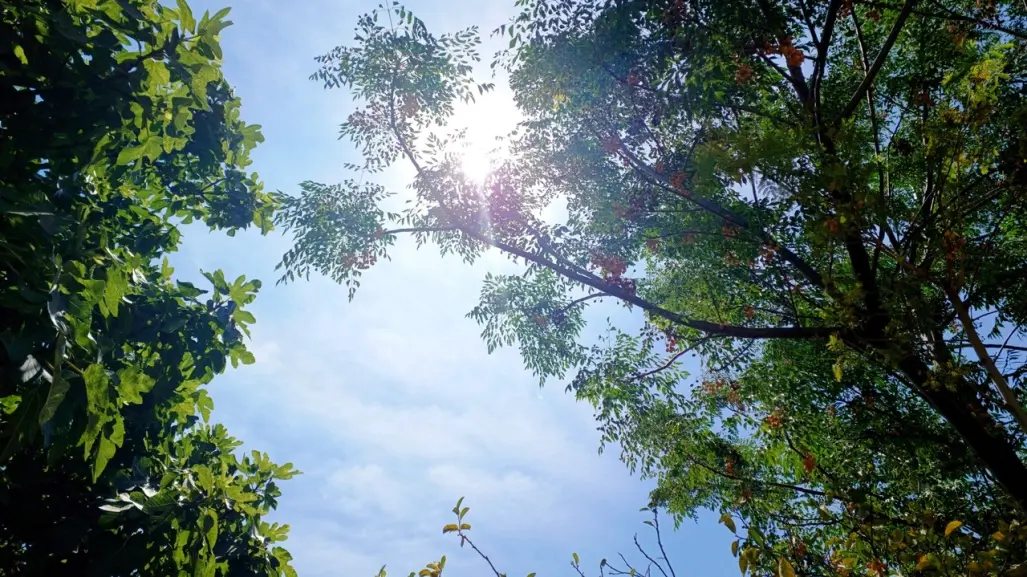 Calor, lluvias y fuertes rachas de viento será el clima en Durango