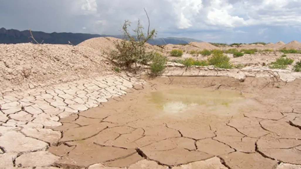 Nuevo León ante el cambio climático ¿Qué debemos hacer para frenarlo?