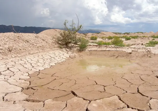 Nuevo León ante el cambio climático ¿Qué debemos hacer para frenarlo?