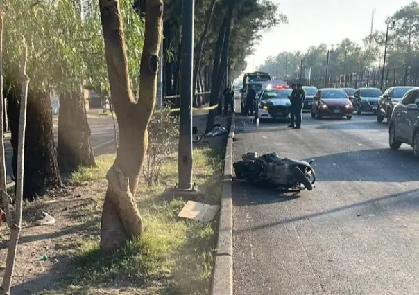 Muere motociclista al chocar contra un árbol en Iztacalco