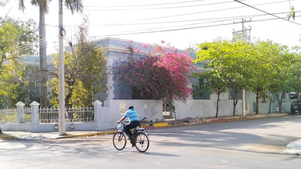 La bicicleta como aliado para solucionar el problema de movilidad mundial