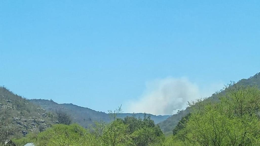 Nuevo incendio amenaza la biósfera de El Cielo