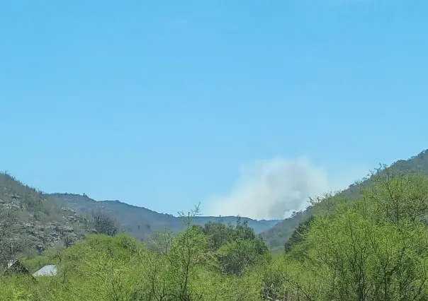 Nuevo incendio amenaza la biósfera de El Cielo