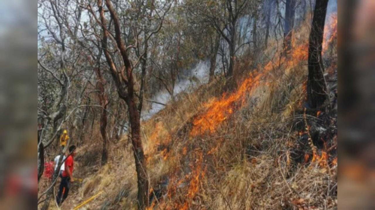 Los dos incendios forestales en Ocuilan y Tinaguistenco iniciarn el martes 04 de junio. Foto: Probosque