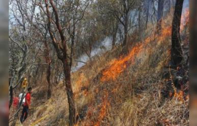 ¡Alerta! Incendios forestales en Ocuilan y Tianguistenco (VIDEO)