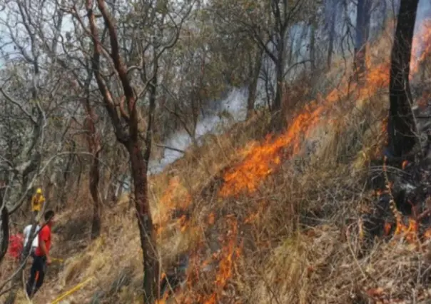 ¡Alerta! Incendios forestales en Ocuilan y Tianguistenco (VIDEO)