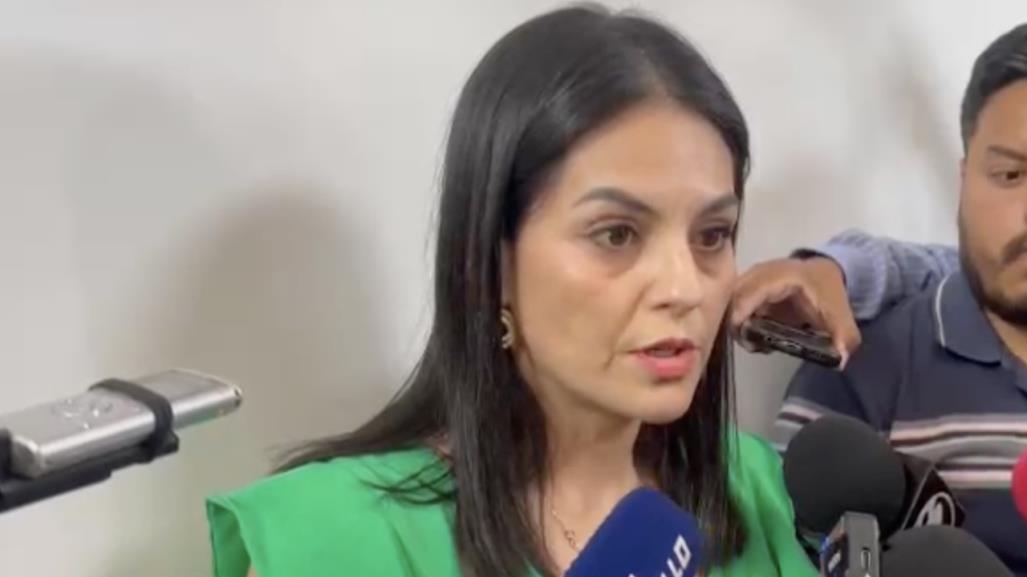 Preocupa a Luz Elena Morales mayoría de Morena en Congreso de la Unión