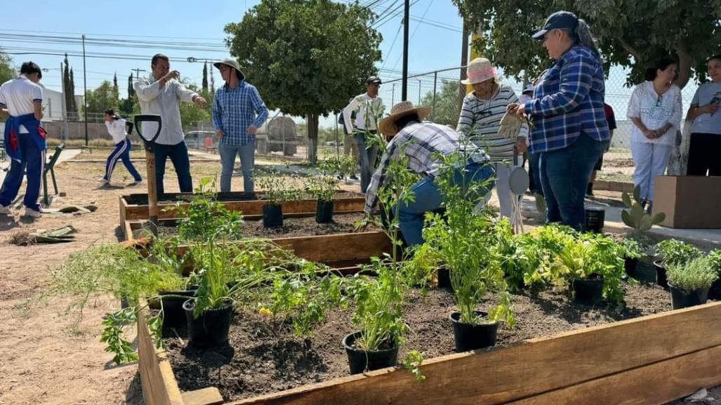 ¡A apoyar al Medio Ambiente! Acude a Feria Ecológica  y lleváte un árbol