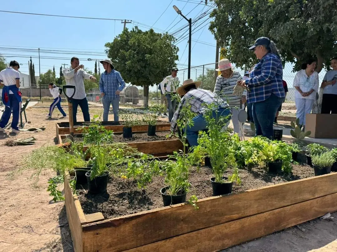 La feria ofrecerá un servicio de donación de árboles y plantas. (Fotografía: Gobierno de Torreón)