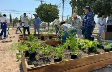 ¡A apoyar al Medio Ambiente! Acude a Feria Ecológica  y lleváte un árbol