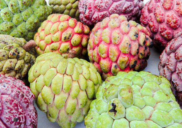 Esta es la fruta que se da en Yucatán y ayuda a prevenir el cáncer y la anemia