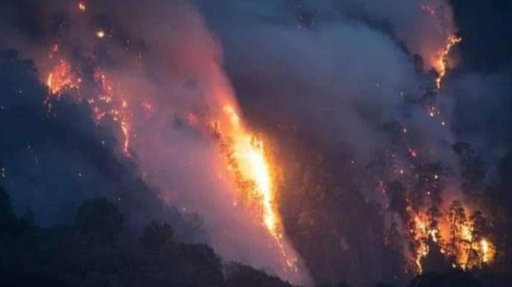 Se queman 150 hectáreas de bosque en Quimixtlán, Puebla