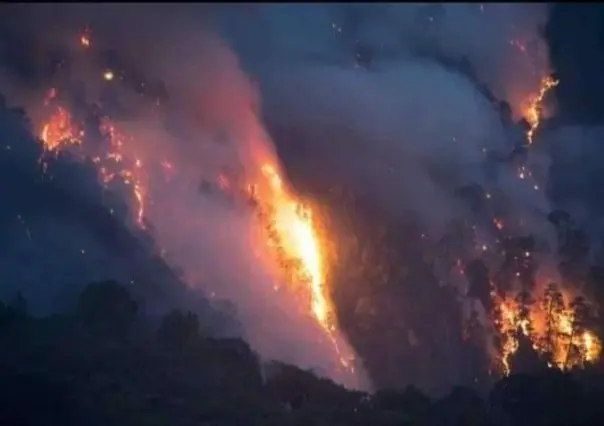 Se queman 150 hectáreas de bosque en Quimixtlán, Puebla