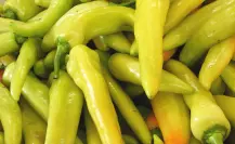 La Crema de Chile Xcatic: Un Tesoro de la Gastronomía Yucateca