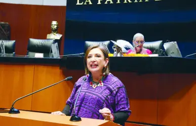 Xóchitl Gálvez solicitará regresar al Senado