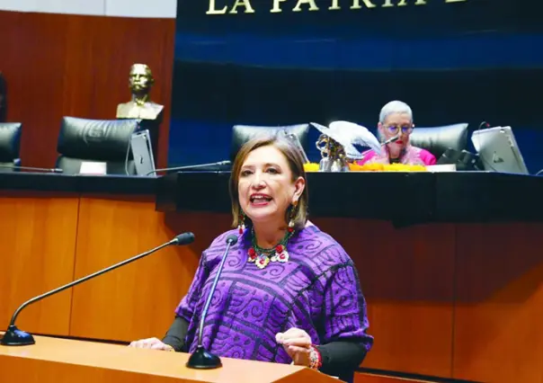 Xóchitl Gálvez solicitará regresar al Senado