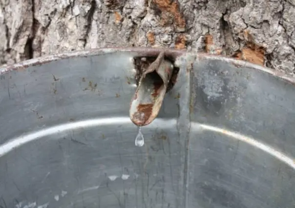 10 asentamientos al sur de la ciudad presentan baja presión en servicio de agua