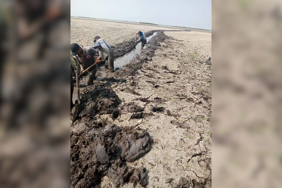 Excavan canal para extraer agua en Altamira