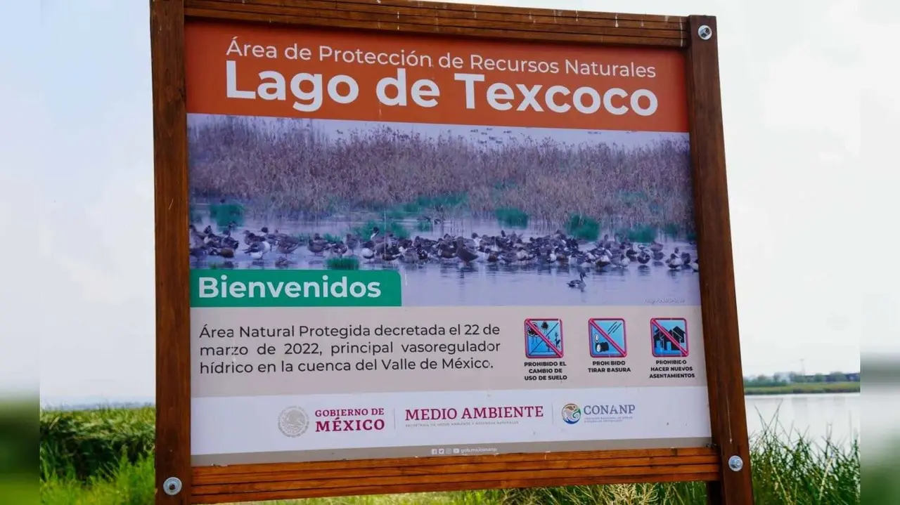 Al rescate del Lago de Texcoco, ya tiene plan de manejo