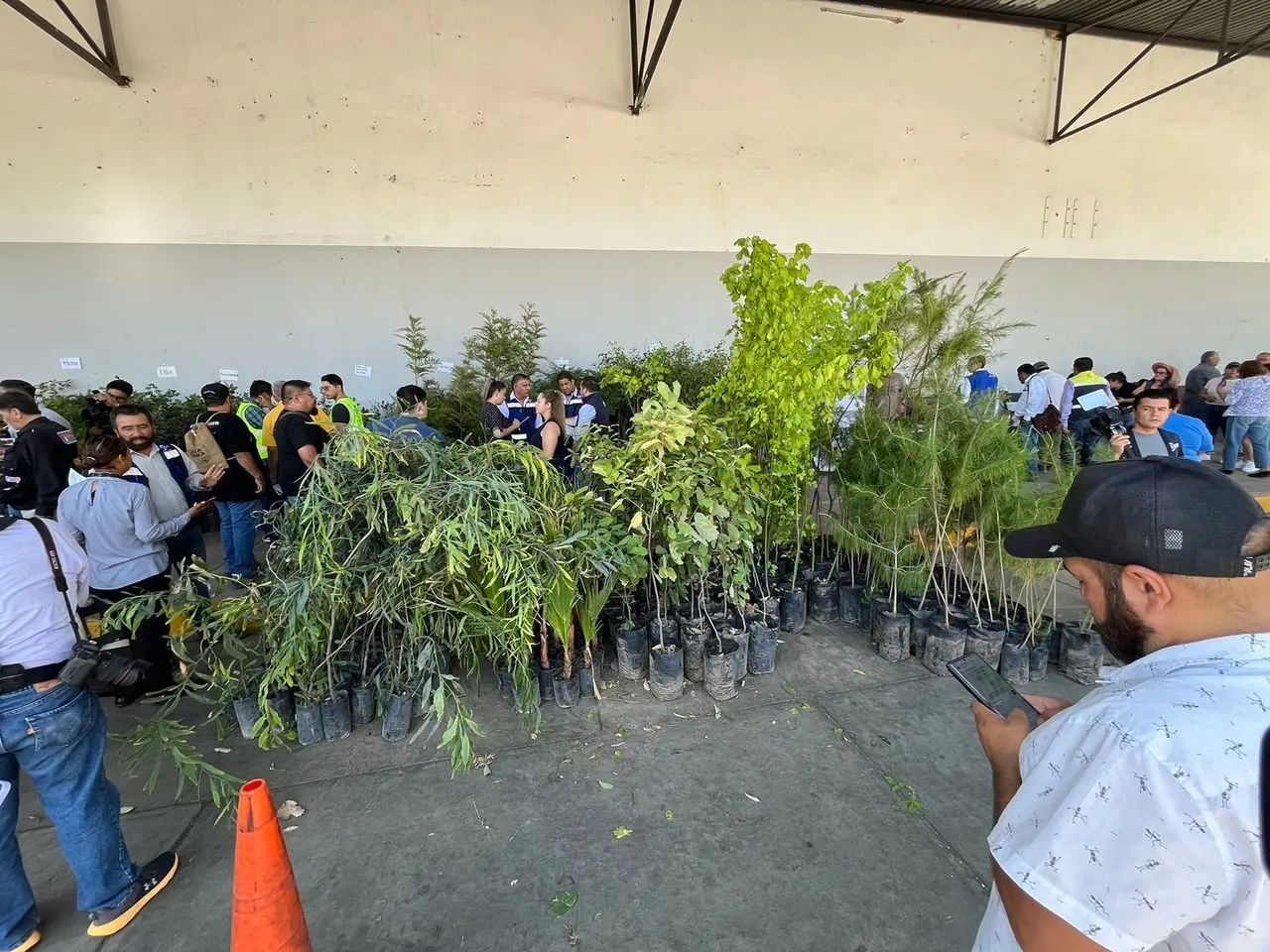 Existe una demanda por la ciudadanía para adoptar un árbol. Foto: Jesús Carrillo.