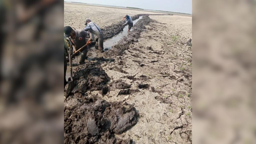 Excavan canal para extraer agua en Altamira