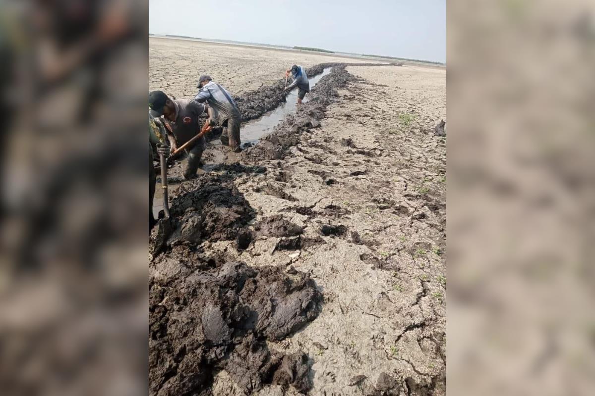 Las comunidades rurales de Altamira han sido las más afectadas por la escasez de agua en el sur de Tamaulipas: Foto: Axel Hassel